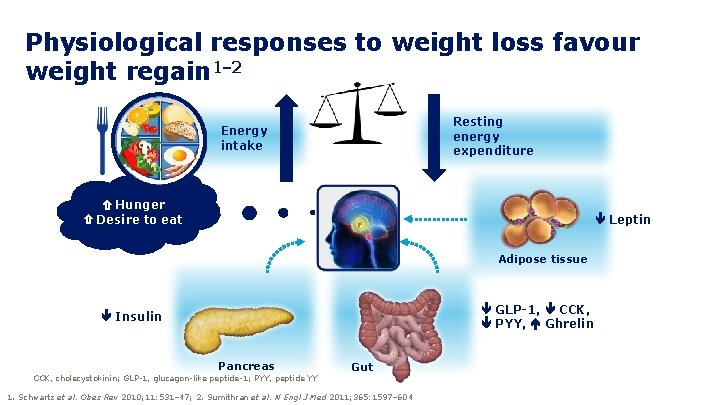 Physiological responses to weight loss favour weight regain 1– 2 Resting energy expenditure Energy
