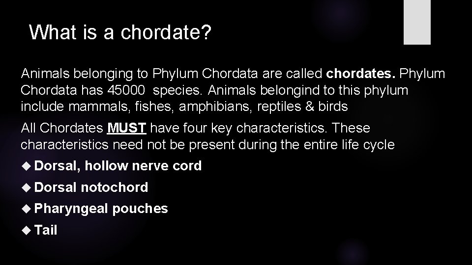 What is a chordate? Animals belonging to Phylum Chordata are called chordates. Phylum Chordata