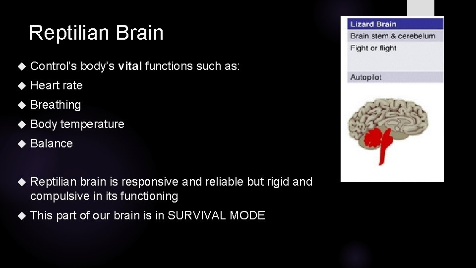 Reptilian Brain Control’s body’s vital functions such as: Heart rate Breathing Body temperature Balance