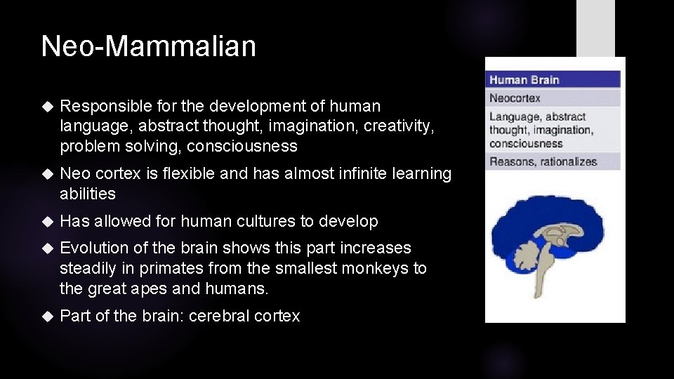 Neo-Mammalian Responsible for the development of human language, abstract thought, imagination, creativity, problem solving,