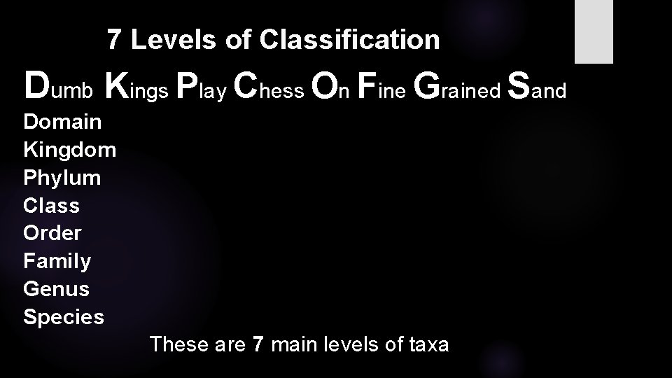 7 Levels of Classification Dumb Kings Play Chess On Fine Grained Sand Domain Kingdom