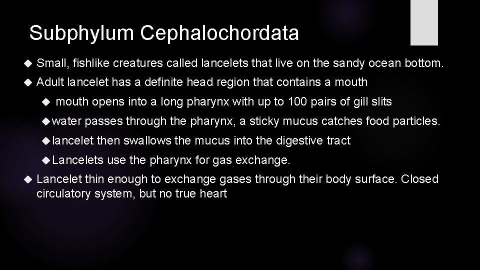 Subphylum Cephalochordata Small, fishlike creatures called lancelets that live on the sandy ocean bottom.