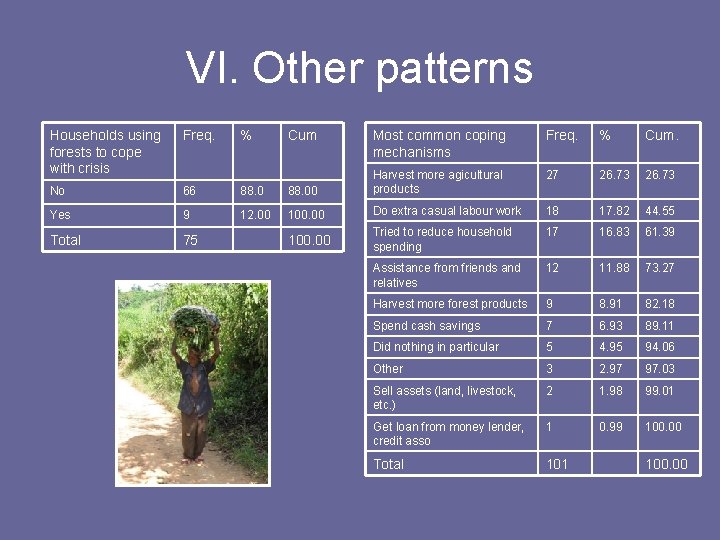 VI. Other patterns Households using forests to cope with crisis Freq. % No 66