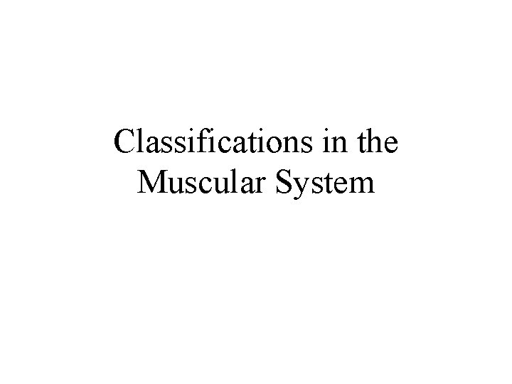 Classifications in the Muscular System 
