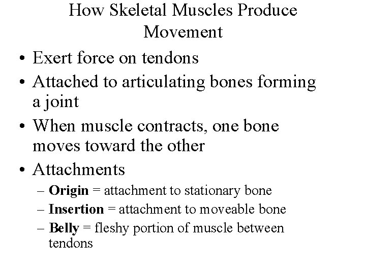  • • How Skeletal Muscles Produce Movement Exert force on tendons Attached to