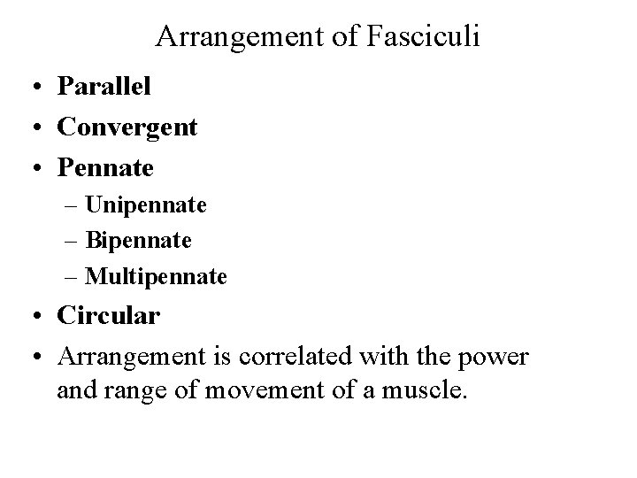 Arrangement of Fasciculi • Parallel • Convergent • Pennate – Unipennate – Bipennate –