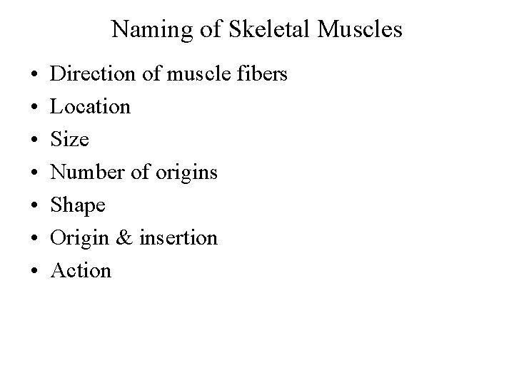 Naming of Skeletal Muscles • • Direction of muscle fibers Location Size Number of