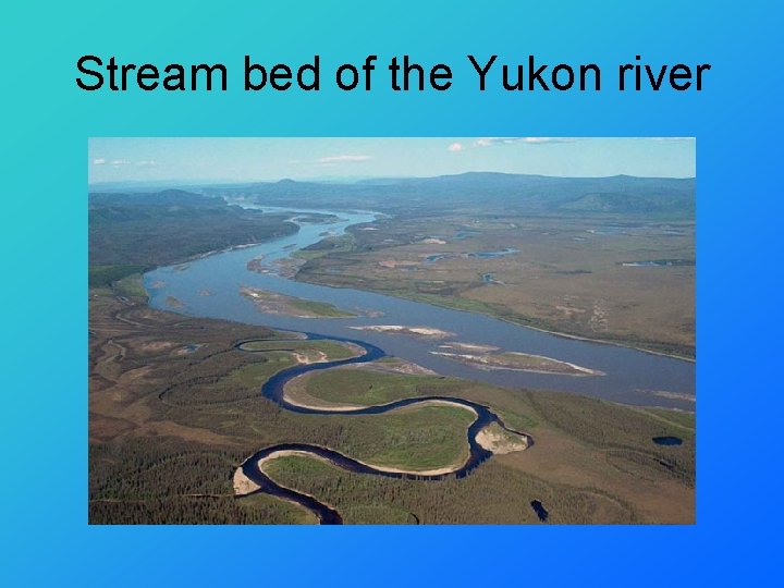 Stream bed of the Yukon river 