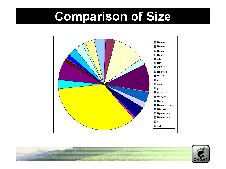 Comparison of Size 