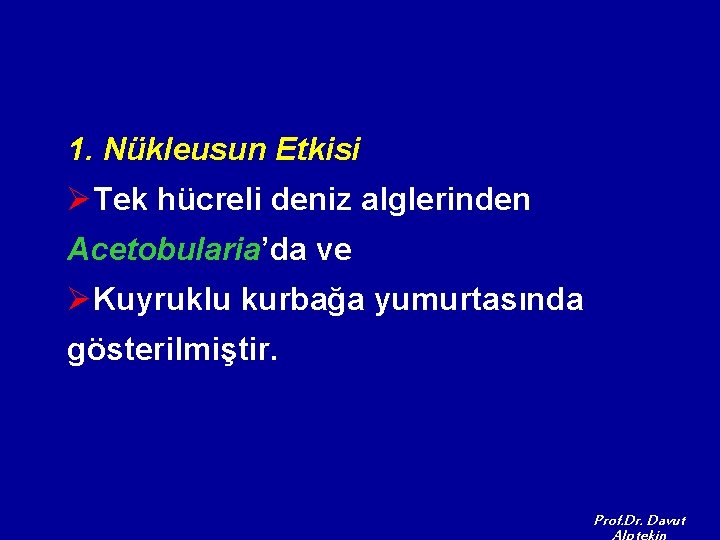 1. Nükleusun Etkisi ØTek hücreli deniz alglerinden Acetobularia’da ve ØKuyruklu kurbağa yumurtasında gösterilmiştir. Prof.