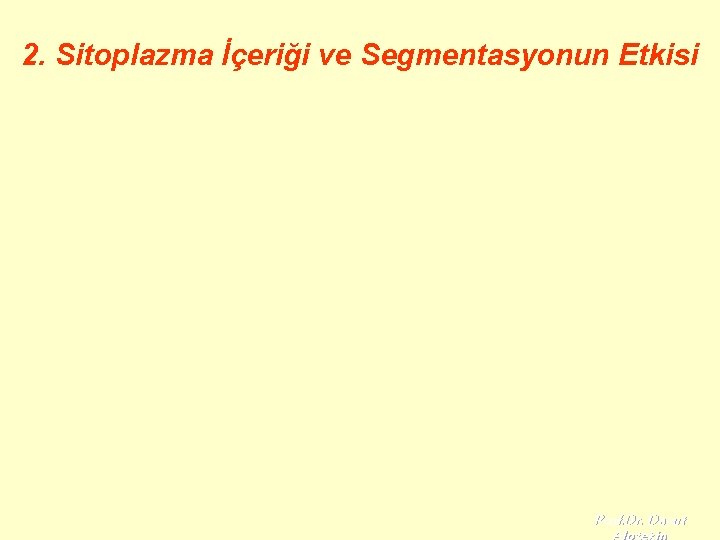 2. Sitoplazma İçeriği ve Segmentasyonun Etkisi Prof. Dr. Davut 