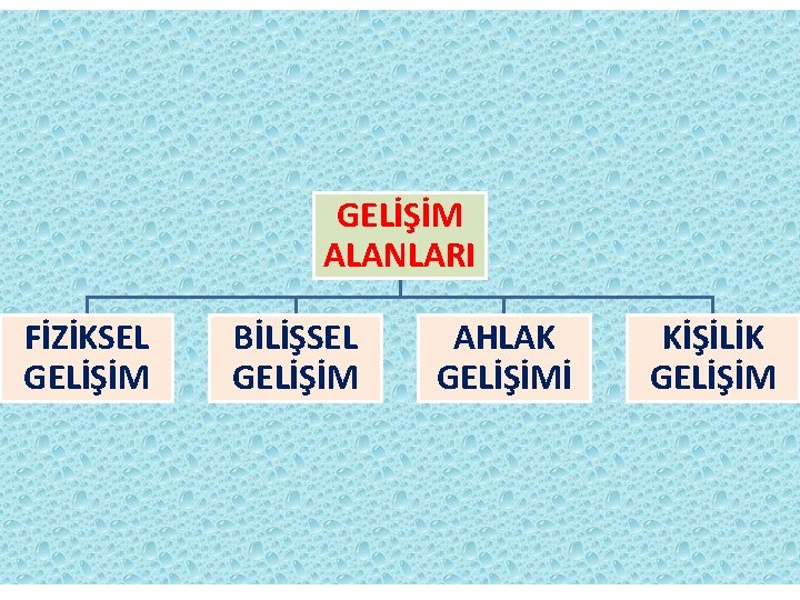 GELİŞİM ALANLARI FİZİKSEL GELİŞİM BİLİŞSEL GELİŞİM AHLAK GELİŞİMİ KİŞİLİK GELİŞİM 