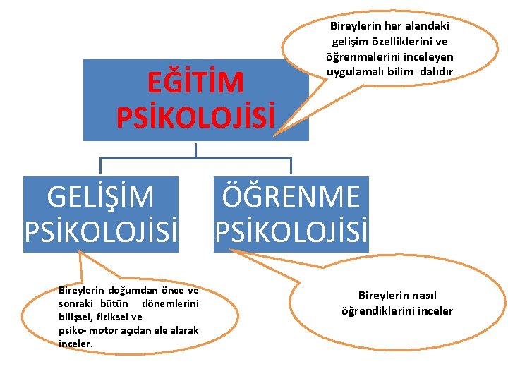 EĞİTİM PSİKOLOJİSİ GELİŞİM PSİKOLOJİSİ Bireylerin doğumdan önce ve sonraki bütün dönemlerini bilişsel, fiziksel ve