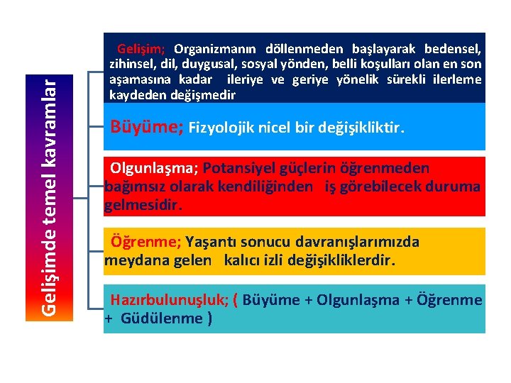 Gelişimde temel kavramlar Gelişim; Organizmanın döllenmeden başlayarak bedensel, zihinsel, dil, duygusal, sosyal yönden, belli