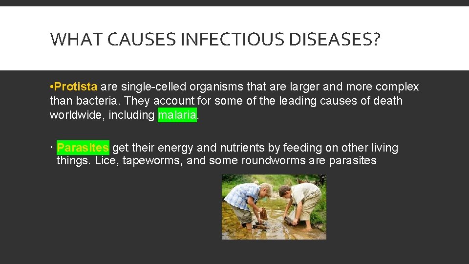 WHAT CAUSES INFECTIOUS DISEASES? • Protista are single-celled organisms that are larger and more