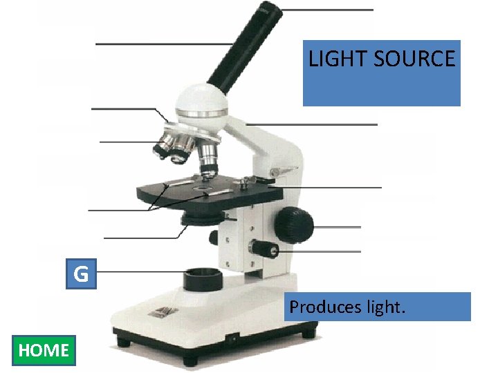 Eyepiece Body Tube LIGHT SOURCE Nosepiece Arm Objectives Stage Clips Diaphragm G Light Source