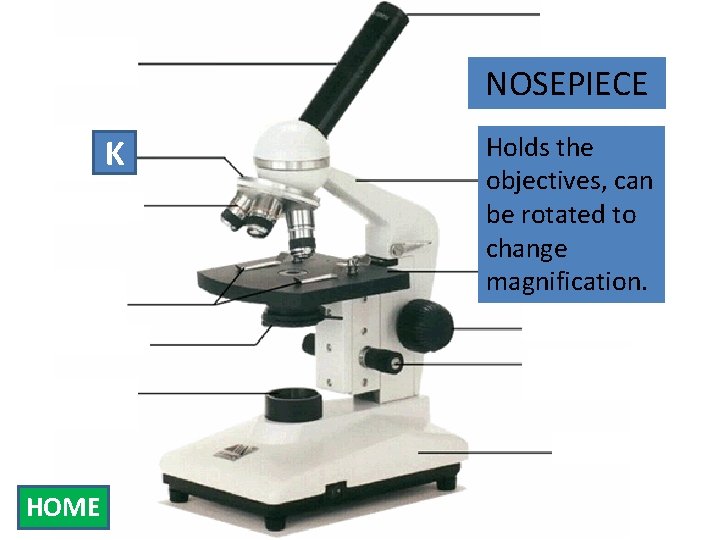 Eyepiece Body Tube K Nosepiece Objectives Stage Clips Diaphragm Light Source NOSEPIECE Holds the