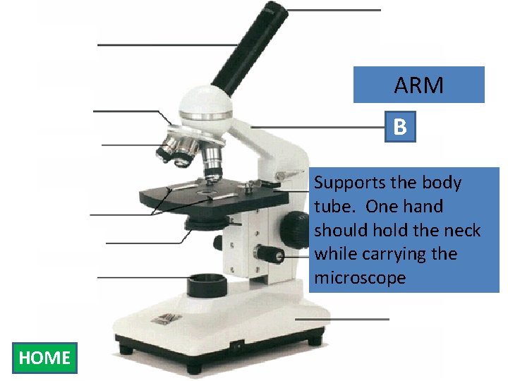 Eyepiece Body Tube ARM Nosepiece B Arm Objectives Stage Clips Diaphragm Light Source Supports