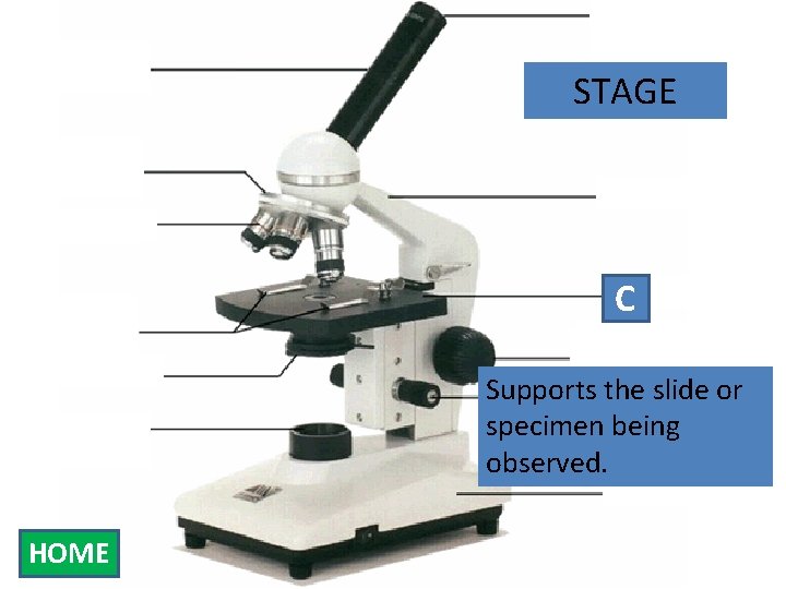 Eyepiece Body Tube STAGE Nosepiece Arm Objectives Stage Clips Diaphragm Light Source C Stage