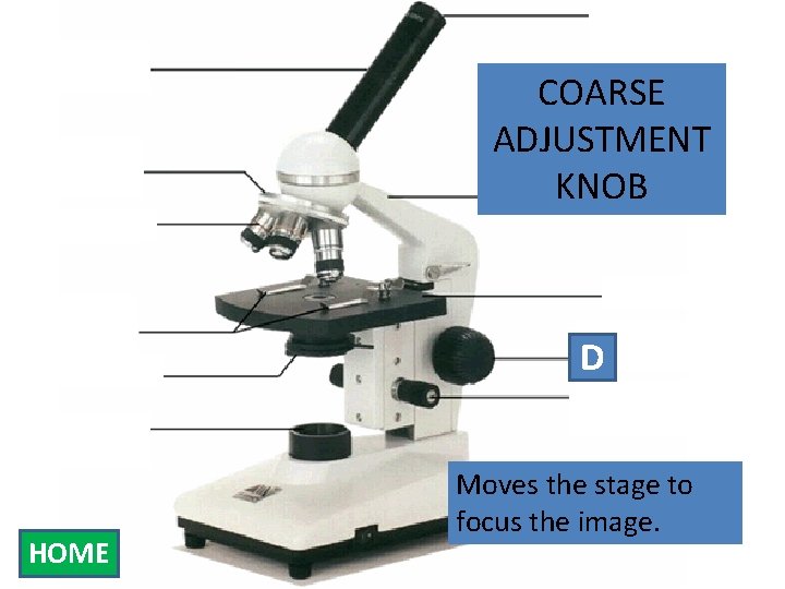 Eyepiece Body Tube Nosepiece COARSE ADJUSTMENT KNOB Arm Objectives Stage Clips Diaphragm Light Source
