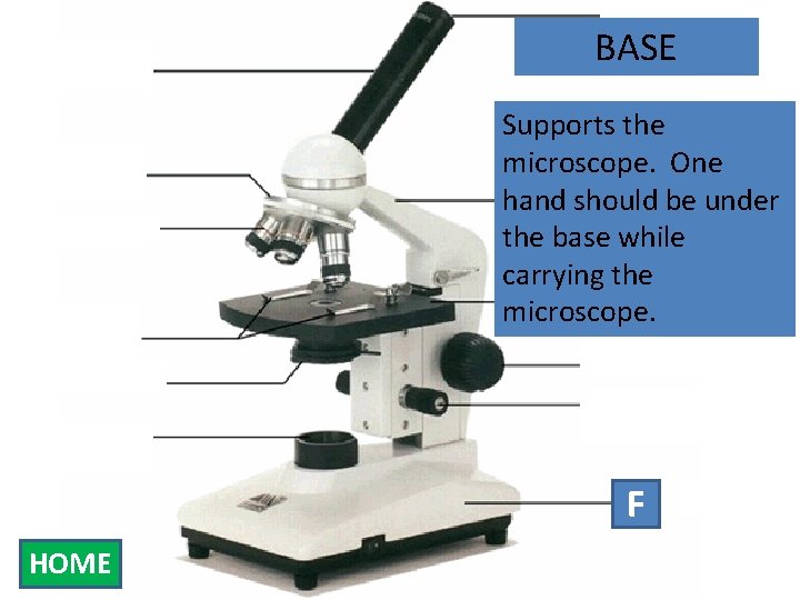 Eyepiece Body Tube Nosepiece Objectives Stage Clips Diaphragm Light Source BASE Supports the microscope.