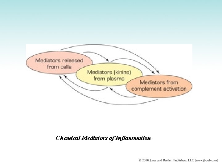 Chemical Mediators of Inflammation 
