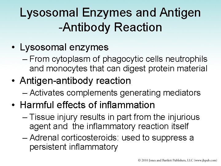 Lysosomal Enzymes and Antigen -Antibody Reaction • Lysosomal enzymes – From cytoplasm of phagocytic