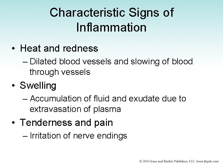 Characteristic Signs of Inflammation • Heat and redness – Dilated blood vessels and slowing