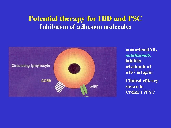 Potential therapy for IBD and PSC Inhibition of adhesion molecules monoclonal. AB, natalizumab, inhibits Potential therapy for IBD and PSC Inhibition of adhesion molecules monoclonal. AB, natalizumab, inhibits
