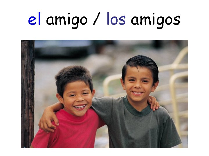 el amigo / los amigos 