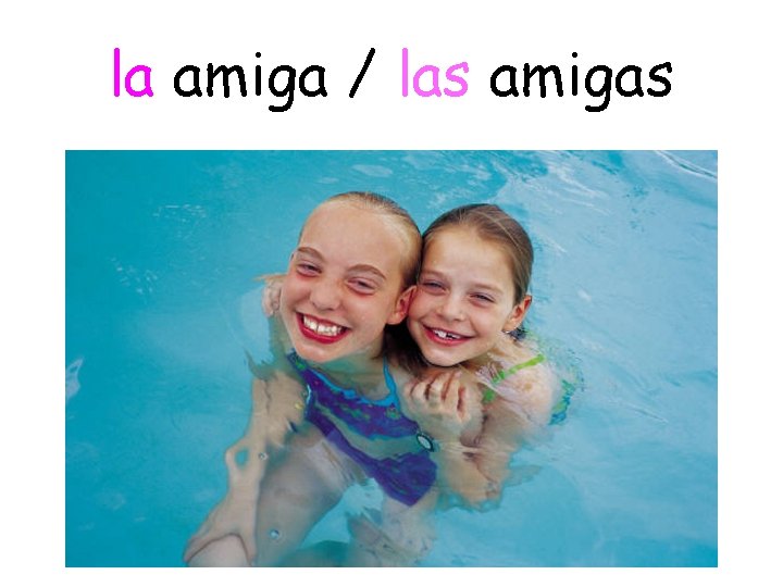 la amiga / las amigas 