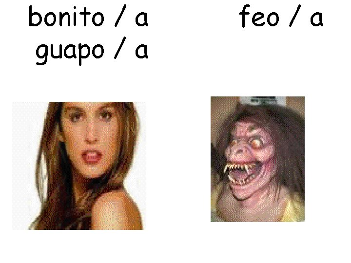 bonito / a guapo / a feo / a 