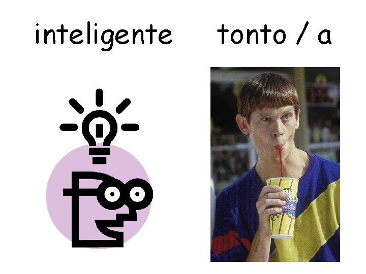 inteligente tonto / a 