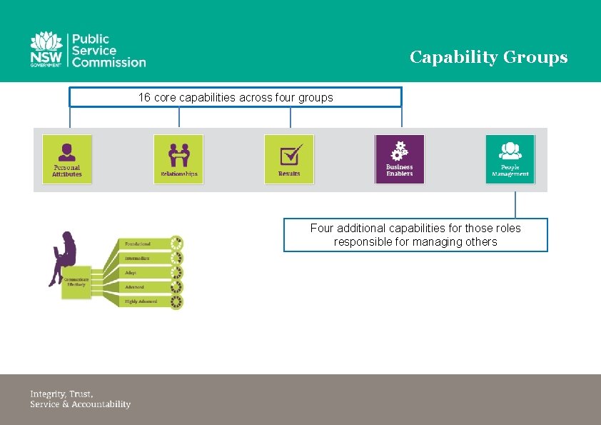 Capability Groups 16 core capabilities across four groups Four additional capabilities for those roles