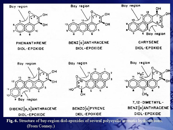 Fig. 6. Structure of bay-region diol-epoxides of several polycyclic aromatic hydrocarbons. (From Conney. )