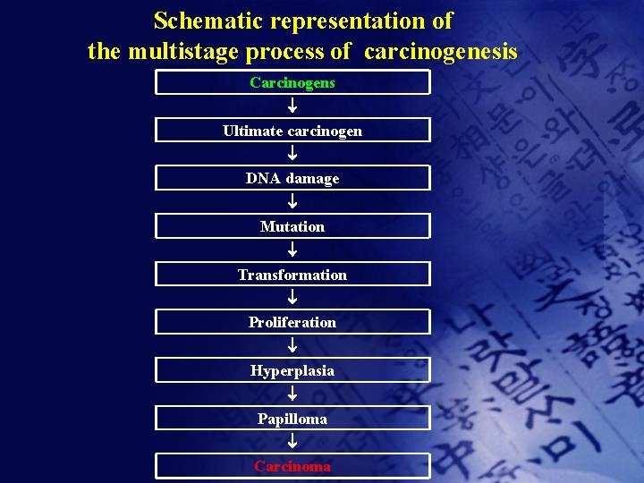 Schematic representation of the multistage process of carcinogenesis Carcinogens Ultimate carcinogen DNA damage Mutation