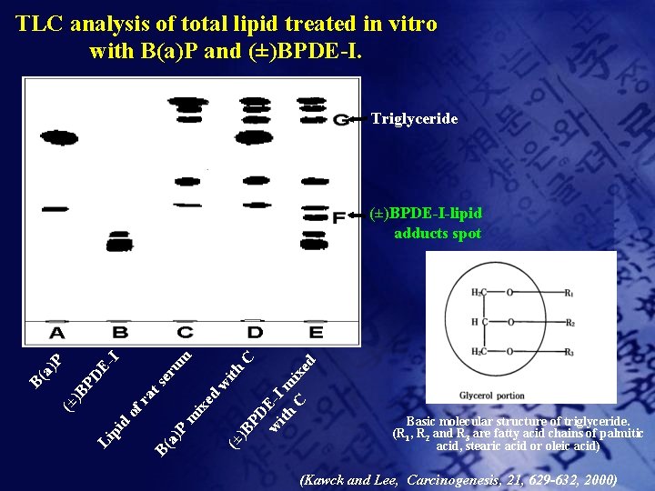 TLC analysis of total lipid treated in vitro with B(a)P and (±)BPDE-I. Triglyceride C