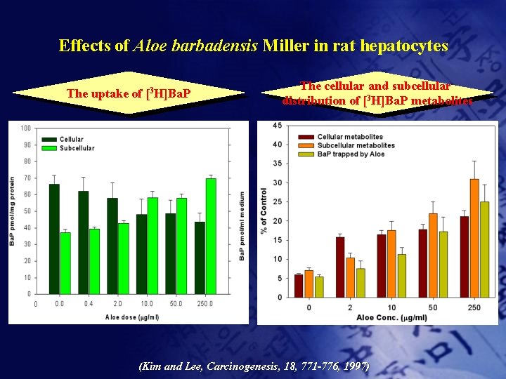 Effects of Aloe barbadensis Miller in rat hepatocytes The uptake of [3 H]Ba. P