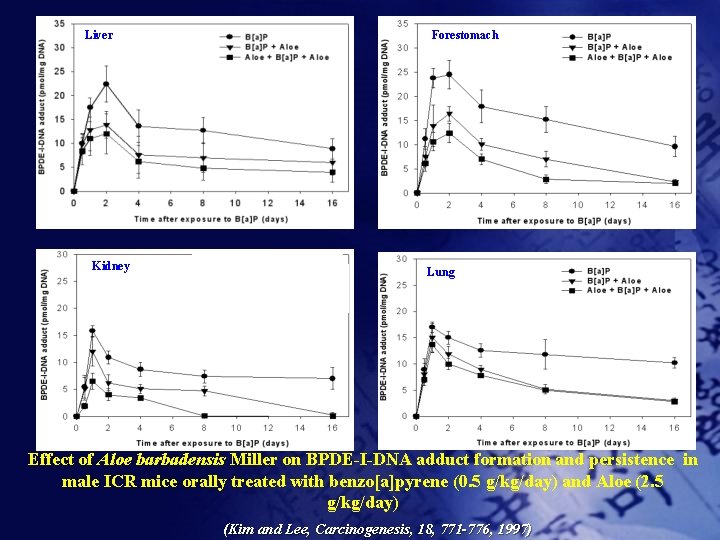 Liver Kidney Forestomach Lung Effect of Aloe barbadensis Miller on BPDE-I-DNA adduct formation and