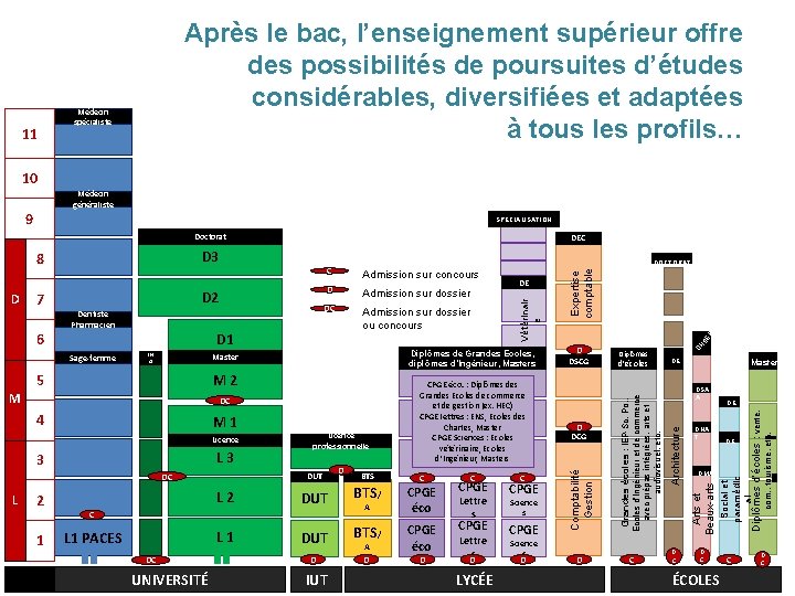 11 Après le bac, l’enseignement supérieur offre des possibilités de poursuites d’études considérables, diversifiées