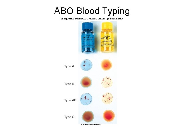 ABO Blood Typing Copyright © Mc. Graw-Hill Education. Permission required for reproduction or display.