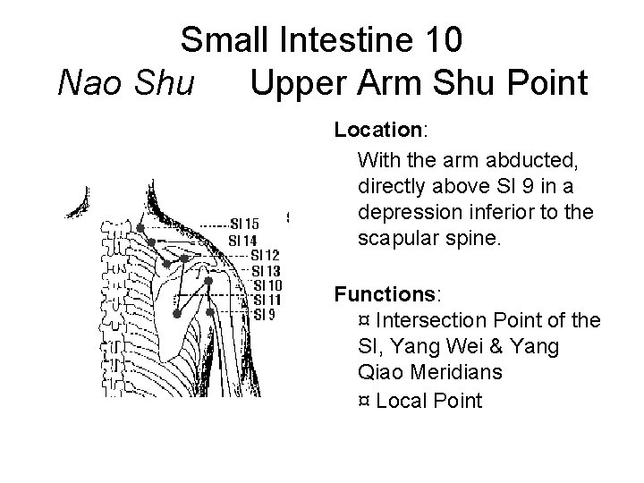 Small Intestine 10 Nao Shu Upper Arm Shu Point Location: With the arm abducted,