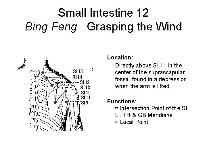 Small Intestine 12 Bing Feng Grasping the Wind Location: Directly above SI 11 in