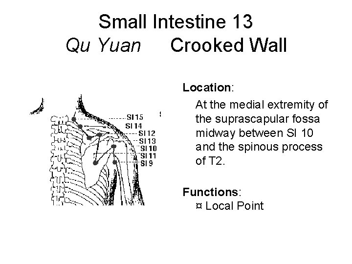 Small Intestine 13 Qu Yuan Crooked Wall Location: At the medial extremity of the