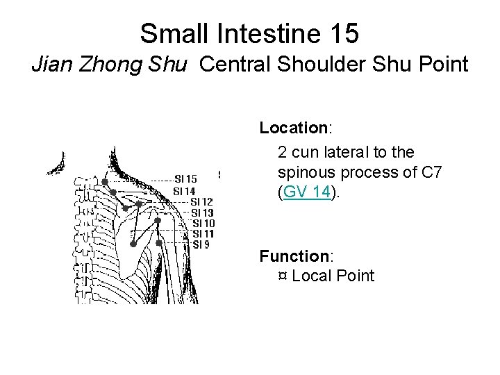 Small Intestine 15 Jian Zhong Shu Central Shoulder Shu Point Location: 2 cun lateral
