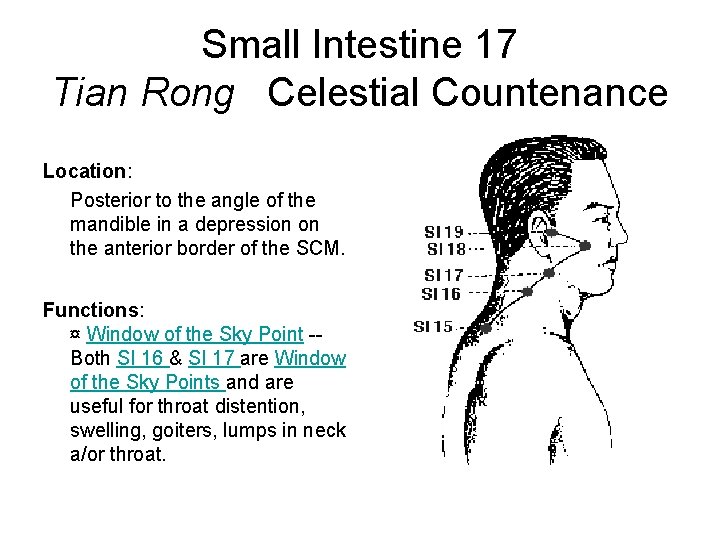 Small Intestine 17 Tian Rong Celestial Countenance Location: Posterior to the angle of the