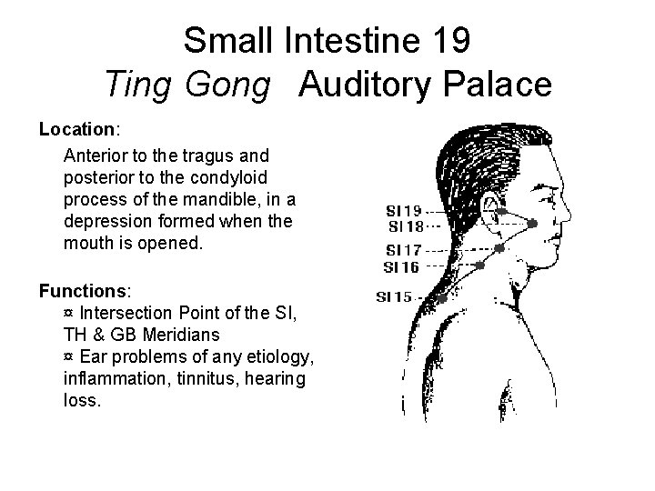 Small Intestine 19 Ting Gong Auditory Palace Location: Anterior to the tragus and posterior