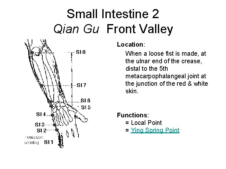 Small Intestine 2 Qian Gu Front Valley Location: When a loose fist is made,