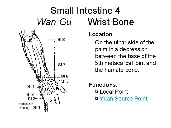 Small Intestine 4 Wan Gu Wrist Bone Location: On the ulnar side of the
