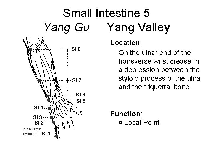 Small Intestine 5 Yang Gu Yang Valley Location: On the ulnar end of the